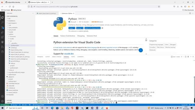 RPMN Python API using Github Code Spaces смотреть онлайн