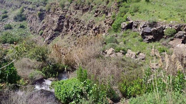 Заповедник Гамла, Голанские Высоты. שמורת גמלא, שביל דולמנים. смотреть онлайн