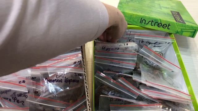 Хранение клубней глоксинии и проверки. Что делать, если появляются ростки? смотреть онлайн