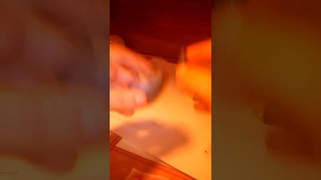 Лепим из пластилина котика пушина смотреть онлайн