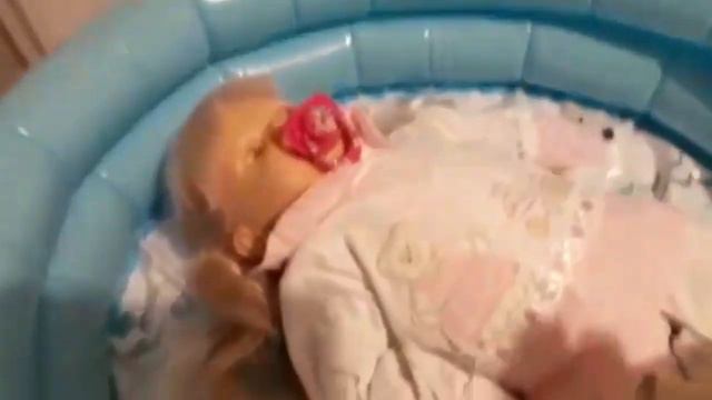 Vlog De VIAGEM Da Minha BEBÊ REBORN/Rotina De Férias/Primeiro Banho De Praia E Piscina Da Minha Beb