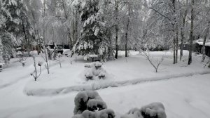 Выходные на даче