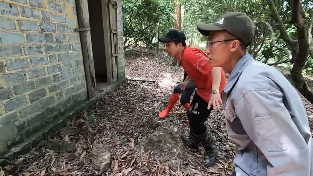 Spider-Man And Pitbull Dog Confront One Giant Python | King of Survival смотреть онлайн