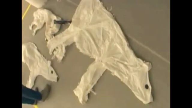 Что? Где? Когда? Армения смотреть онлайн