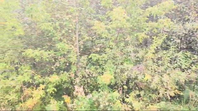 зу :62 ЦМИС смотреть онлайн