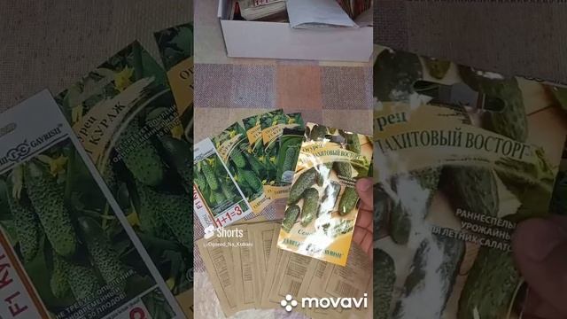 ОБЗОР ОГУРЦОВ ДЛЯ НОВОГО СЕЗОНА 2023Г. ОГОРОД НА КУБАНИ. shorts# смотреть онлайн