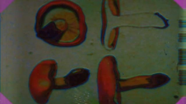 Poradnik Uśmiechu 1 - Jak Skutecznie Jabłko