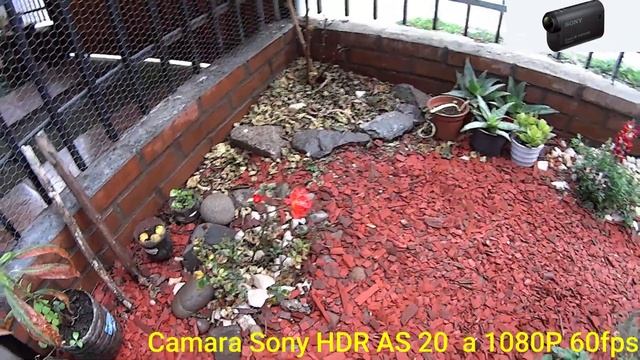 Test Cámara Sony HDR AS20 1080p 60fps смотреть онлайн
