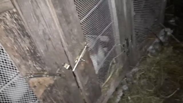 Милейшие кролики! смотреть онлайн