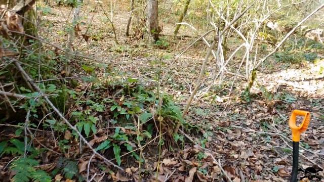 Шурф фундамента на мертвой деревне смотреть онлайн