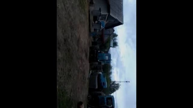 "той-терьер против немецкой овчарки" смотреть онлайн