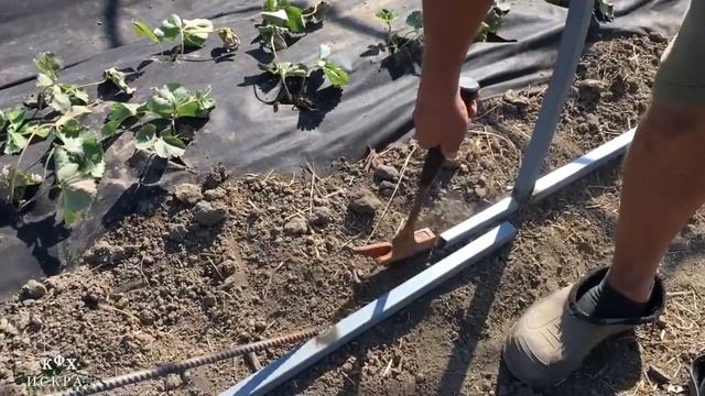 Теплица для клубники своими руками смотреть онлайн
