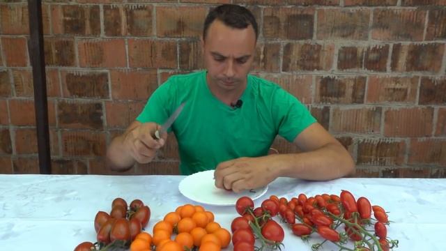 ПОЧЕМУ ТОМАТЫ НЕ СЛАДКИЕ? САМАЯ ВАЖНАЯ ПОДКОРМКА КОТОРАЯ ДЕЛАЕТ ТОМАТЫ ВКУСНЫМИ И СЛАДКИМИ! смотреть онлайн