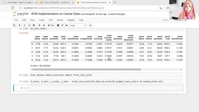 Data Science for Beginners |Support Vector Machine Algorithm |Python Coding in Urdu (Part-II) смотреть онлайн