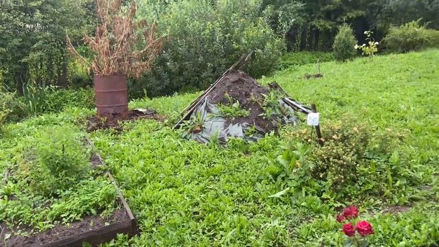 ДАЧА 29 ИЮЛЯ 2023 #дача #влог #обзор смотреть онлайн