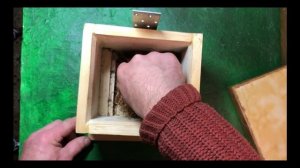 Гнездо шмелей или как увеличить урожай.