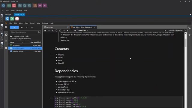 TensorFlow Object Detection Jupyter Notebook - JupyterLab in ArenaView Tutorial смотреть онлайн
