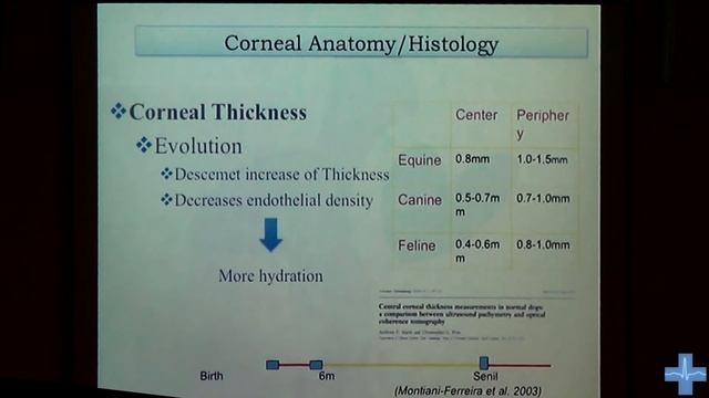 Анатомия и физиология роговицы. Corneal Anatomy And Physiology