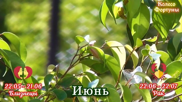 Что о характере человека может рассказать месяц его рождения? смотреть онлайн