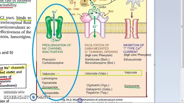 Pharmacology 413 j AntiEpileptics Carbamazepine MOA смотреть онлайн