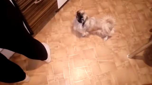 Ника ест картошку смотреть онлайн