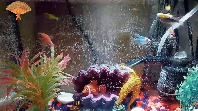 Грабли веерные Для любителей канала Грабли Лайф 01-08.05.2022 смотреть онлайн