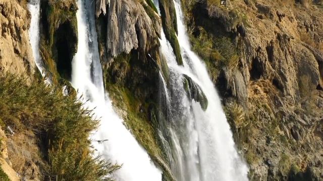 Невестка возмущена: ребёнок болеет, а муж уехал на свадьбу родственницы смотреть онлайн