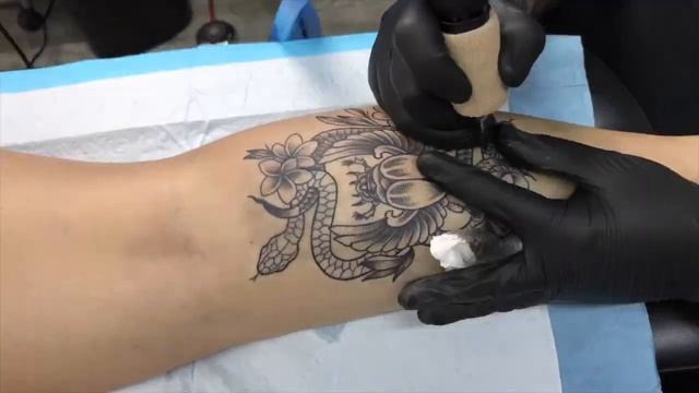 Scarab & Snakes Tattoo смотреть онлайн