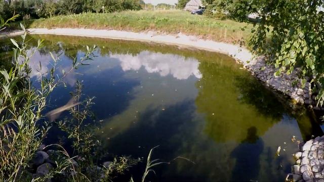 Пруд на участке.Пруд на даче.Водоём на участке. Пруд без плёнки смотреть онлайн