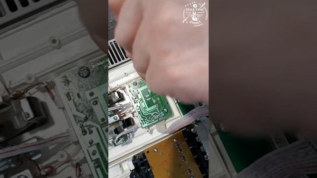 Reparatur Masterkeyboard Nektar Panorama P6