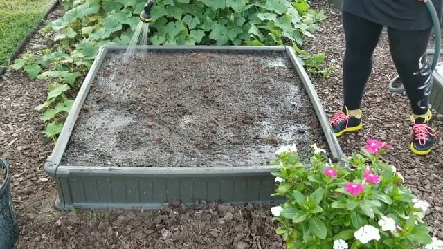 Соляризация почвы - оздоровление почвы. смотреть онлайн