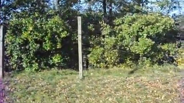 Juterbog.Ютербог.Окрестности школы.Ролик N4.AVI смотреть онлайн