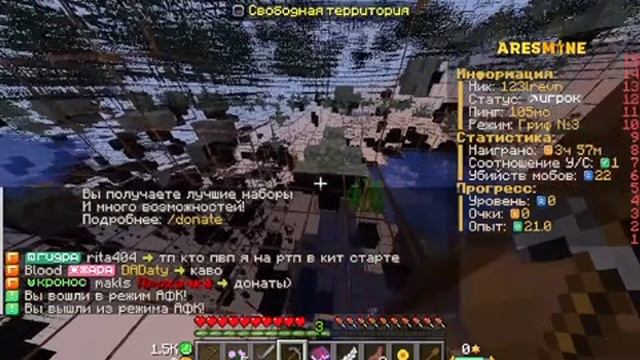 играю на сервере Aresmine