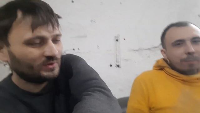 как назвать кота, как назвать животное смотреть онлайн