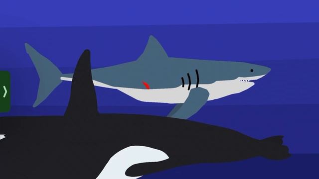 Battle: Great white shark vs Orca (Stick￼ nodes pro￼ смотреть онлайн