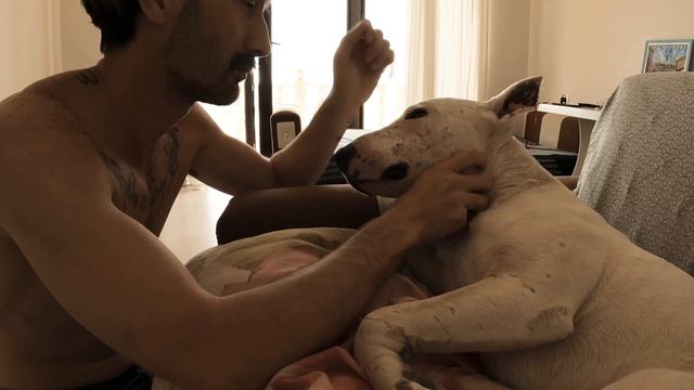 Искусство и Умение