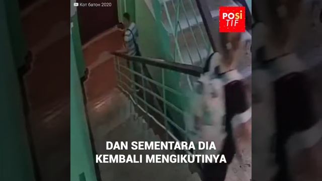 Anak perempuan membuat gerakan yang cerdas untuk menghindari penculikan смотреть онлайн