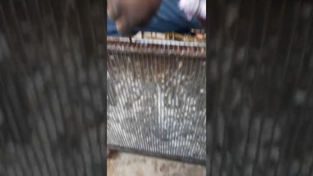 varetando radiador dá Mazda MPV 3.0 V6 смотреть онлайн