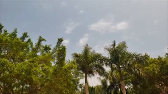 ND Variable 2-400 Neutral Density Filter for Samsung Galaxy S9 / Galaxy S9+ (S9 Plus) Test Video смотреть онлайн