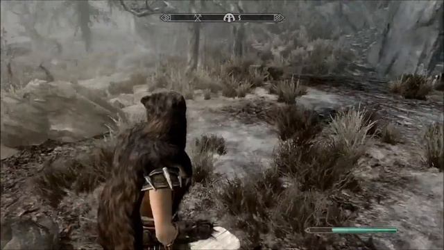 SKYRIM - Stormcloak Officer VS Imperial Camp смотреть онлайн