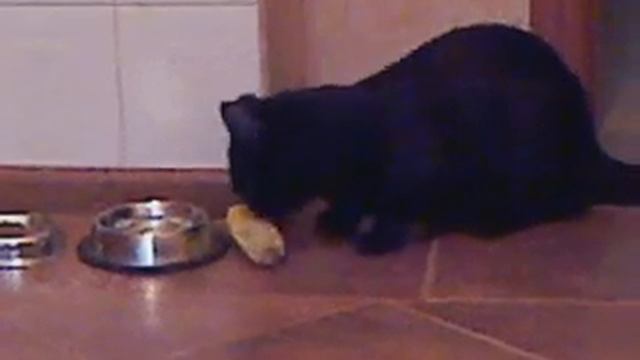 Вкусная кукуруза