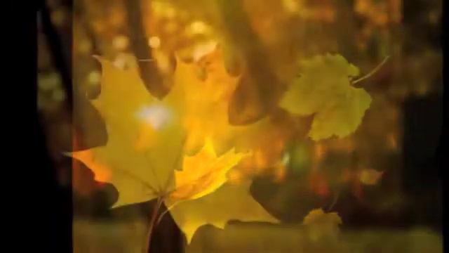 Моя любовь вернись смотреть онлайн