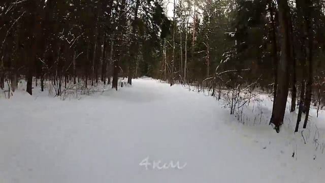 Лыжная трасса в Красногорске 8.2 км. Равнинный круг смотреть онлайн