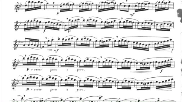 G. Gariboldi - Etude No. 9 from 20 Small Etudes - Wei Zhao, flute смотреть онлайн
