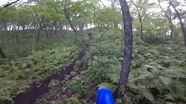 дубки, полигон, 17-й км, разминка смотреть онлайн