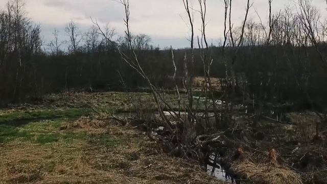 Дорогами памяти - Вяземский котел..... смотреть онлайн