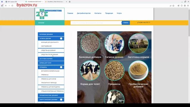 Создание Сайта Для Ветеринарной Компании (1) смотреть онлайн