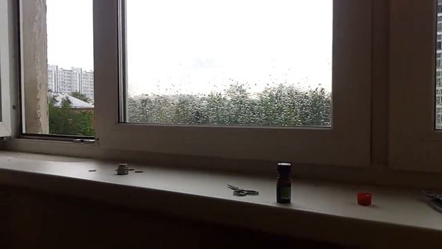 Дерзкий голубь смотреть онлайн