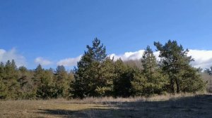 20 марта праздник День Иконы Божией Матери " Споручница Грешных". Павлов день. Народные традиции