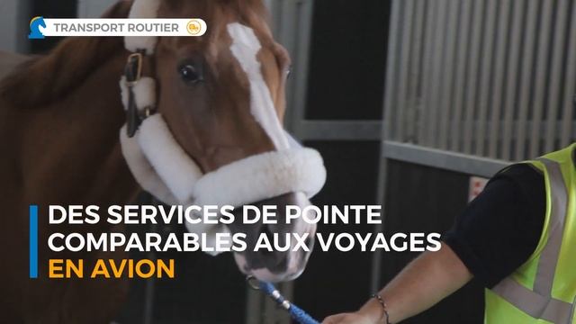 Horse Inn Liège Airport
